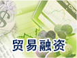 國際貿易及進出口業務概述